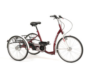 rower-rehab-trojkolowy-2219-lagoon